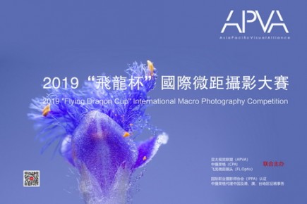 2019 "Flying Dragon Cup" International Macro Photography Competition Call for Papers